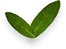 image-06-free-img.png